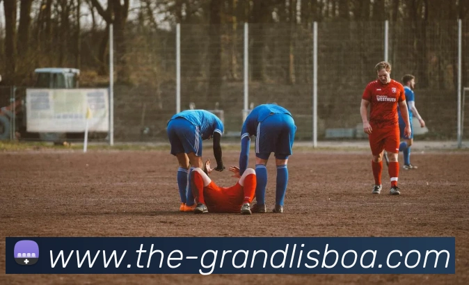 新葡京娱乐全站App